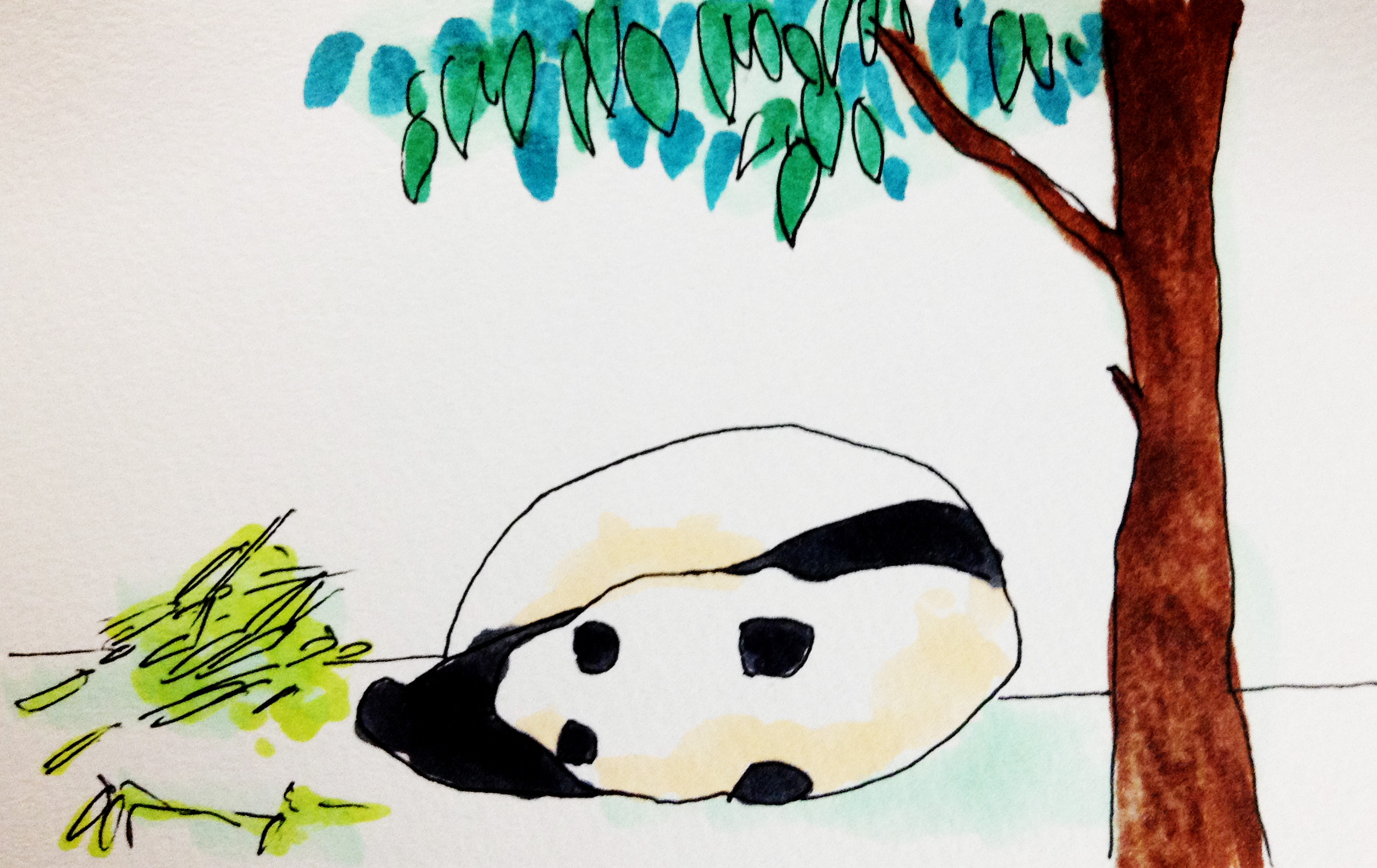 寝ているパンダをコピックマーカーで描いたイラスト