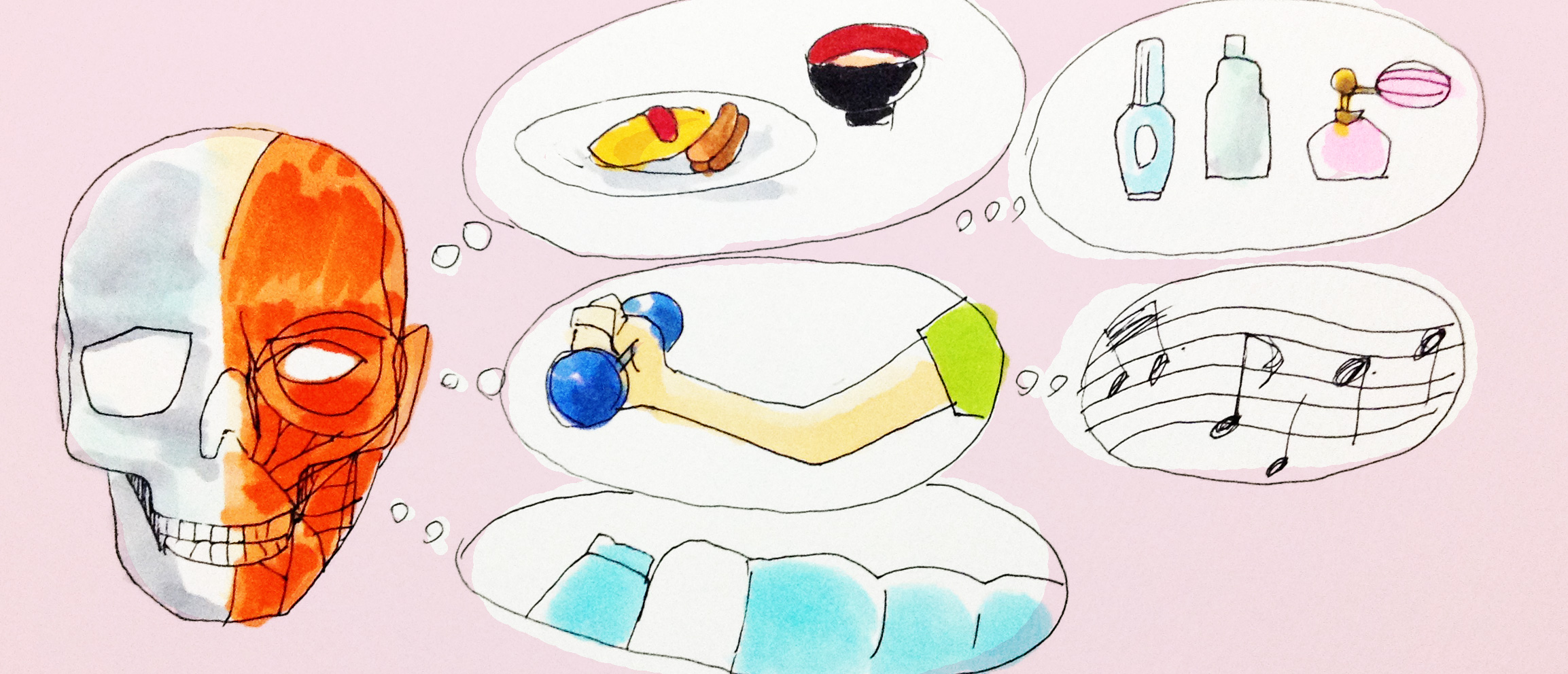 健康に大切な運動や食事、睡眠などのイメージをコピックで描いたイラスト